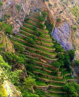 FB IMG 1775208377983