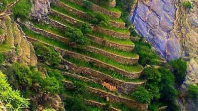 FB IMG 1775208377983