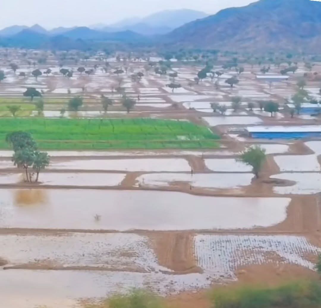 الارصاد يحذر من الانهيارات الصخرية وتدني الرؤية الأفقية على الطرقات الجبلية 1 FB IMG 1775670808156