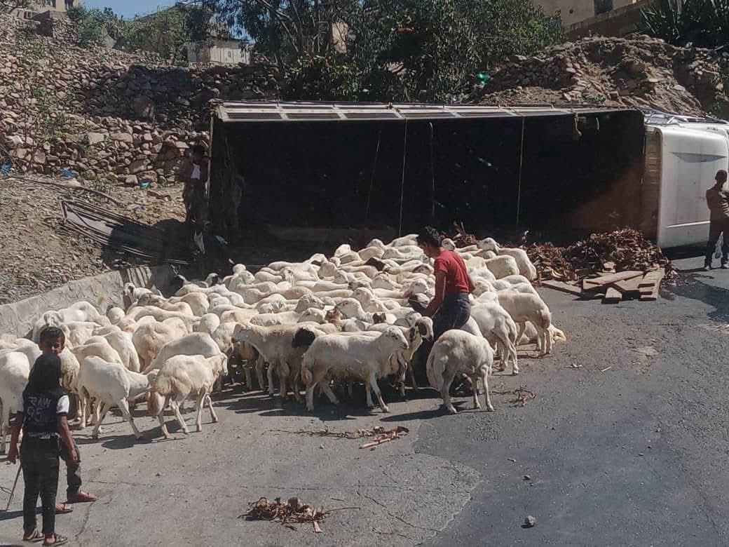 FB IMG 1777288578498