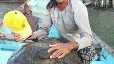 FB IMG 1777295367849