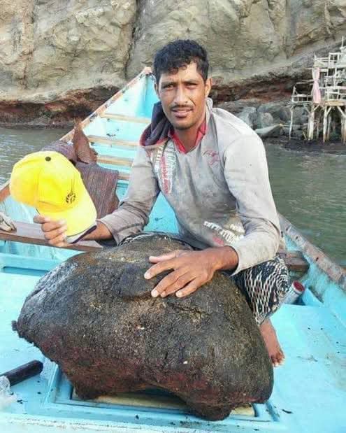 FB IMG 1777295367849