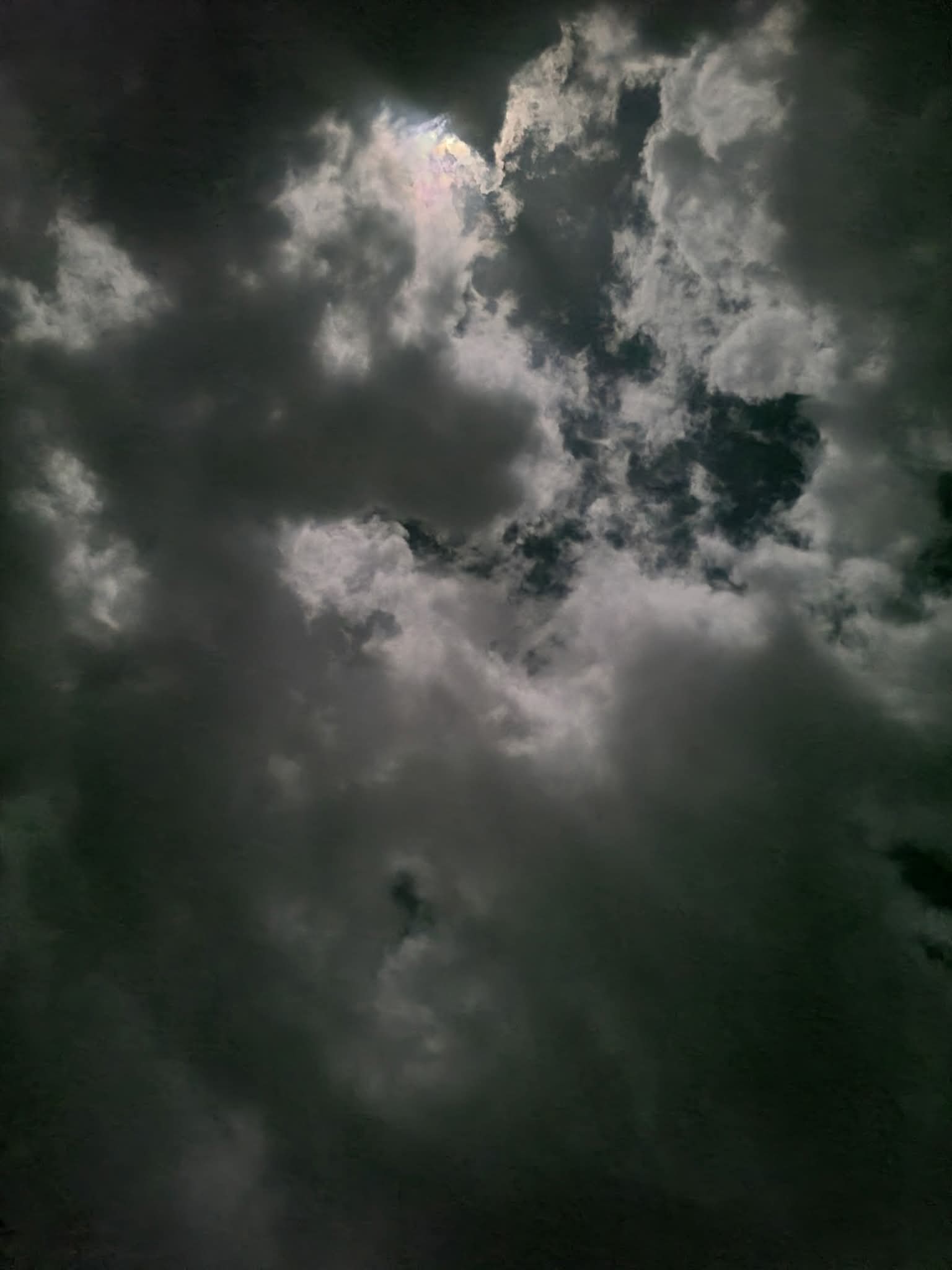 FB IMG 1779997459538