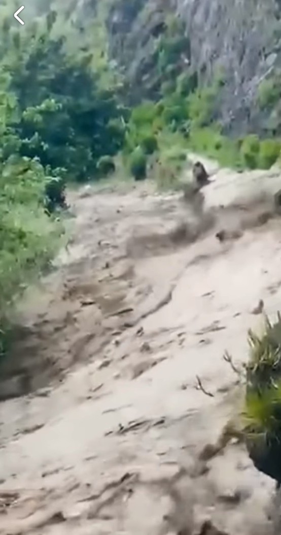 تعز.. سيول وادي نخلة تجرف مواطنًا في شرعب السلام 1 6002
