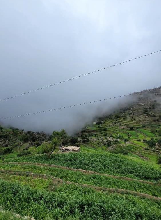 الأرصاد: أمطار متوسطة إلى غزيرة مصحوبة برياح هابطة وحبات البرد على أغلب المرتفعات وبعض السواحل 1 100