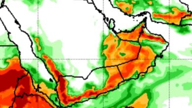 خبير في الطقس يتوقع هطولات مطرية على أغلب المحافظات اليمنية أغزرها على المرتفعات 4 583