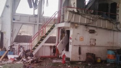 61