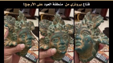 FB IMG 1788286135151